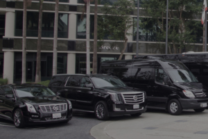 Vip Transportation's Lexus VIP Transportation | Production Transport